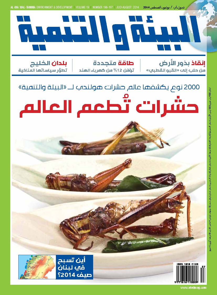 النيّات في الأعمال